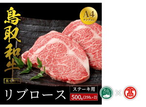 yӂ邳Ɣ[Łz񂾂Lb` a u[XXe[Lp 250g×2 v500g ⓀiRuhjy60-DS3za јa a  ~ Xe[L I ~TV 挧 