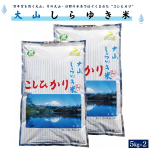 yӂ邳Ɣ[Łzߘa6NY Ђ R䂫 5kg×2 v10kg y25-028-004zނč