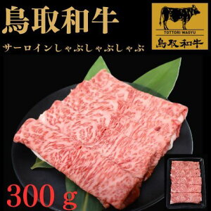 yӂ邳Ɣ[ŁzaT[CԂԗpy25-013-014zꂢt[Y  O 挧 Ďqs