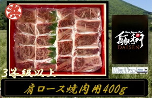 yӂ邳Ɣ[ŁzaDAISEN[Xēy25-017-011z a@@Jr@[X@XCX@挧Y@Y@Ⓚ  O 挧 Ďqs 