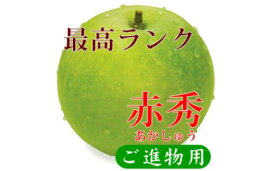 【ふるさと納税】鳥取県産 二十世紀梨 “赤秀” 5kg （10〜14玉/5L～3Lサイズ）大山恵みの里公社 数量限定 二十世紀梨 ナシ なし フルーツ 果物 くだもの デザート 果汁 和梨 先行受付 産地直送 お取り寄せ ご当地 鳥取県 米子市 送料無料