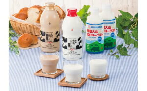 yӂ邳Ɣ[ŁzR Mtg~N̂ރ[OgyIizy25NT-011-001z JtFI ̂ރ[Og l Zbg  挧 Ďqs 