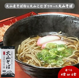 【ふるさと納税】大山産そば粉と大山こむぎで作った大山そば 選べる4食 or 6食セット つゆ付き【26-011-012・26-014-003】長田製麺所 麺 鳥取県 米子市