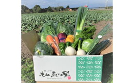 【ふるさと納税】新鮮 朝採れ 野菜 お手頃 セット 大山恵みの里公社 季節 詰め合わせ おまかせ 農家