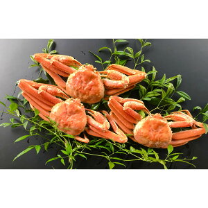 yӂ邳Ɣ[Łz l tI i܂j 1.0kgȏ i2`3tj y25-032-002z OcY Jj I  CN t  L  O n 挧 Ďqs