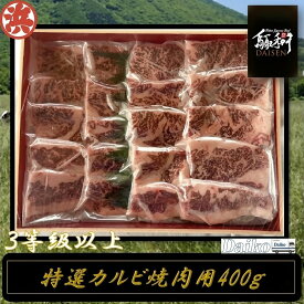【ふるさと納税】鳥取和牛DAISEN特選カルビ焼肉 和牛 牛肉 カルビ 焼肉 スライス 鳥取県産　国産 冷凍 お取り寄せ グルメ 鳥取県 米子市 送料無料