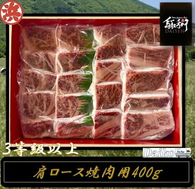 【ふるさと納税】鳥取和牛DAISEN肩ロース焼肉 和牛 牛肉 肩ロース スライス 鳥取県産 国産　冷凍 お取り寄せ グルメ 鳥取県 米子市 送料無料