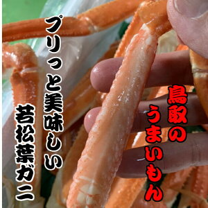 yӂ邳Ɣ[Łz艿iIy11lグzyqz{CᏼtKj 48i1`2{Ȃ܂ށj tKj Jj YCKj {C ① Jj ɂ Jjhg 킢