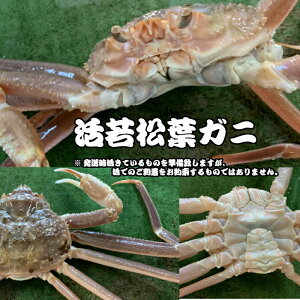 yӂ邳Ɣ[ŁzyqzᏼtKj 4i1`2{Ȃ܂ށj tKj Jj YCKj ① Jj ɂ Jjhg 킢 NxQ Y    挧 qgs