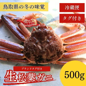 【ふるさと納税】 【先行予約】【魚倉】 タグ付き 生 松葉ガニ （500g） ズワイガニ 松葉蟹 カニ かに かにしゃぶ 【11月から3月発送予定】