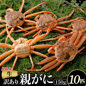 �y�ӂ邳�Ɣ[�Łz�y�N�������z�y�󂠂�z�y���e���� 150g 5�`10�C�z�I�ׂ�e�ʁI �N�������I�J�j �e���� �e�K�j �Y���C�K�j �J�j�̍b�� �J�j���X ���q �O�q �I�g ���ɂ݂� �C�N ���Y ���t�K�j