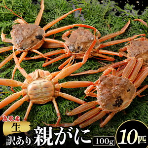 �y�ӂ邳�Ɣ[�Łz�y�N�������z�y�󂠂�z�y���e���� 100g 5�`10�C�z�I�ׂ�e�ʁI �N�������I�J�j �e���� �e�K�j �Y���C�K�j �J�j�̍b�� �J�j���X ���q �O�q �I�g ���ɂ݂� �C�N ���Y ���t�K�j