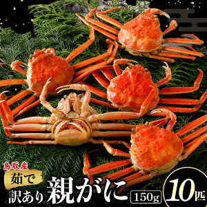 �y�ӂ邳�Ɣ[�Łz�y�N�������z�y�󂠂�z�y䥂Őe���� 150g 5�`10�C�z�I�ׂ�e�ʁI �N�������I�J�j �{�C�� �e���� �e�K�j �Y���C�K�j �J�j�̍b�� �J�j���X ���q �O�q �I�g ���ɂ݂� �C�N ���Y