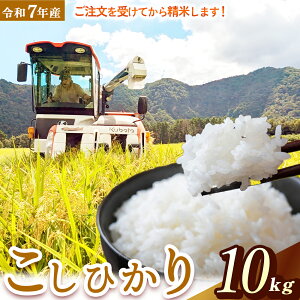 �y�ӂ邳�Ɣ[�Łz�y�V�āz�y�݌Ɍ���z�ߘa7�N�Y�� �R�V�q�J�� 5kg�E10kg �i�R��_���j���ʌ��� �V�� ���� �� ���� �R�� ���� ���ʂނ��� �u�����h�� ���挧 �q�g�s