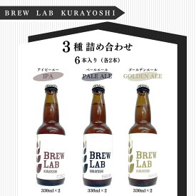 【ふるさと納税】BREW　LAB　クラフトビール　3種 詰め合わせ （6本） ipa ペールエール ゴールデンエール ビール 酒 母の日 父の日 敬老の日 ブリューラボ ビール 地ビール クラフトビール お酒 酒 飲み比べ 冷蔵