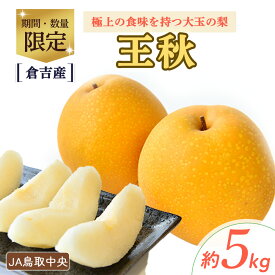 【ふるさと納税】 王秋 【倉吉産】5kg（JA鳥取中央） 梨 なし ナシ おうしゅう 王秋 ブランド梨 鳥取 5kg 果物 フルーツ 和梨 先行予約 数量限定 詰め合わせ 人気 甘い