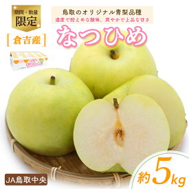 【ふるさと納税】先行予約 なつひめ【倉吉産】5kg（JA鳥取中央）8月中旬～8月下旬発送 数量限定 梨 ナシ なつひめ フルーツ 果物 鳥取県産