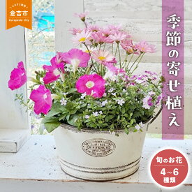 【ふるさと納税】季節 の 寄せ植え M 【Le Ciel】 お楽しみ おまかせ 花 誕生日 記念日 贈り物 プレゼント 予約 常温 鉢 鉢植え マザーズウィーク 母の日 セット 完成品