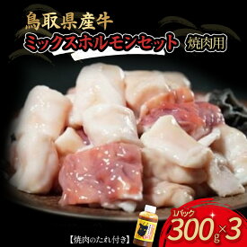 【ふるさと納税】鳥取県産 牛 焼肉用ミックスホルモンセット 国産 ホルモン 焼肉 焼き肉 小分け