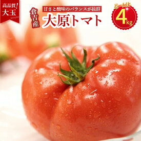 【ふるさと納税】【 期間限定 】大原 大玉トマト 4kg 倉吉市産 鳥取県 とまと トマト 野菜 新鮮