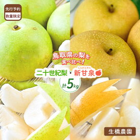 【ふるさと納税】【数量・期間限定】 新甘泉 と 二十世紀梨 食べ比べセット 5kg 【 鳥取県産】 生橋農園 果物 フルーツ 和梨 先行予約 数量限定 詰め合わせ 新甘泉 二十世紀梨 20世紀梨