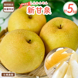 【ふるさと納税】 新甘泉 5kg （生橋農園） 鳥取県産 梨 ナシ フルーツ 果物 フルーツ 和梨 先行予約 数量限定