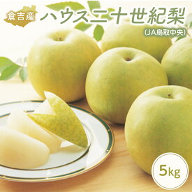 【ふるさと納税】 ハウス二十世紀梨【倉吉産】5kg（JA鳥取中央） 鳥取 梨 果物 フルーツ 和梨 先行予約 数量限定 詰め合わせ 二十世紀梨 20世紀梨 人気 甘い 今が旬