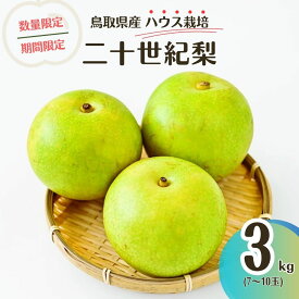 【ふるさと納税】 【先行予約・数量限定】ハウス二十世紀梨 鳥取県産 3kg 令和6年産 （生橋農園）梨 鳥取 3kg 果物 フルーツ 和梨 先行予約 数量限定 詰め合わせ 二十世紀梨 20世紀梨 人気 甘い