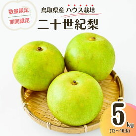 【ふるさと納税】【先行予約・数量限定】ハウス二十世紀梨 鳥取県産 5kg 令和6年産 （生橋農園）梨 鳥取 5kg 果物 フルーツ 和梨 先行予約 数量限定 詰め合わせ 二十世紀梨 20世紀梨 今が旬 人気 甘い