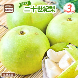 【ふるさと納税】先行予約 二十世紀梨 3kg 鳥取県産 生橋農園 数量限定 梨 なし ブランド梨 フルーツ 果物