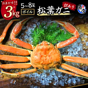 yӂ邳Ɣ[Łzyqzt {C ܂Zbg3kg 󂠂 tKj Jj YCKj Jj {C ① 킯 킢 Ԍ Y 挧 qgs