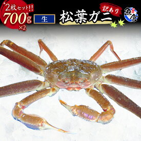 【ふるさと納税】今だけ限定価格！【11月より値上げ】【魚倉】訳あり生松葉ガニ2枚セット 700g以上 松葉ガニ カニ ズワイガニ カニ爪 訳あり わけあり 冷蔵 かにしゃぶ カニ刺身　ずわいがに 鮮度抜群 国産 高級 足欠け 足かけ 限定価格 限定寄付額 値上対象 鳥取県 倉吉市
