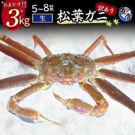 【ふるさと納税】今だけ限定価格！【11月より値上げ】【魚倉】松葉がに 生 おまかせセット 3kg 訳あり 松葉ガニ カニ ズワイガニ カニ爪 冷蔵 かにしゃぶ カニ刺身 ずわいがに わけあり 期間限定 国産 限定価格 限定寄付額 値上対象 鳥取県 倉吉市