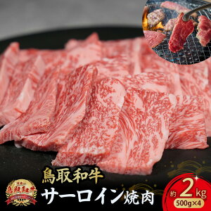 yӂ邳Ɣ[Łza T[C ēp 300g~2kg(500g×4) Y  a T[C ē јa Ă  uh 挧 qgs