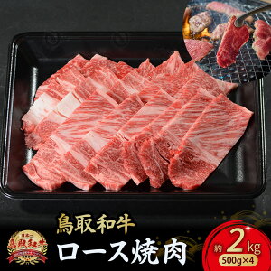 yӂ邳Ɣ[Łza [Xē 300g`2kg(500×4) Y uh  ē  a јa  [X BBQ Ⓚ 挧 qgs