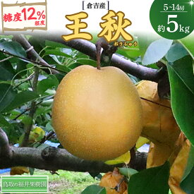 【ふるさと納税】 先行予約 王秋 5kg【倉吉産】 福井果樹園 梨 なし ナシ おうしゅう 王秋 ブランド梨 鳥取 5kg 果物 フルーツ 和梨 先行予約 数量限定 詰め合わせ 人気 甘い 鳥取県 倉吉市