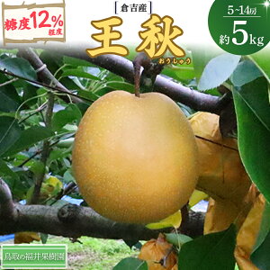 yӂ邳Ɣ[Łz s\ H 5kgyqgYz ʎ  Ȃ iV イ H uh  5kg ʕ t[c a s\ ʌ lߍ킹 lC Â 挧 qgs