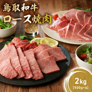 yӂ邳Ɣ[Łz a ɏネ[Xē 300g`2kg ((500g × 4) Y uh  ē  a јa  [X BBQ Ⓚ 挧 qgs KR1392