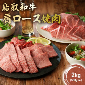 yӂ邳Ɣ[Łza [Xē 300g`2kg ( 500g × 4 ) Y uh  Xe[L  a јa  [X [X [XXe[L Ⓚ 挧 qgs