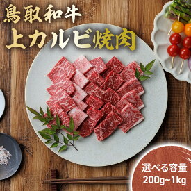 【ふるさと納税】 鳥取和牛 上カルビ 焼肉 300g ~ 2kg (500g×4) 国産 ブランド牛 牛肉 カルビ 希少 和牛 黒毛和牛 肉 上カルビ 焼肉 BBQ 冷凍 鳥取県 倉吉市