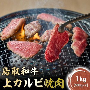 yӂ邳Ɣ[Łz a Jr ē 300g ~ 2kg (500g×4) Y uh  Jr  a јa  Jr ē BBQ Ⓚ 挧 qgs