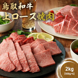 yӂ邳Ɣ[Łza ネ[Xē 300g ` 2kg ( 500g × 4 ) Y uh  ē  a јa  [X BBQ Ⓚ 挧 qgs