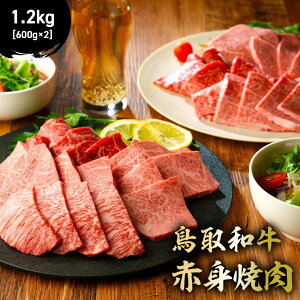 yӂ邳Ɣ[Łz a Ԑgē 300g`2kg (500g × 4) Y  Ԑg a јa uh ē Ă  挧 qgs