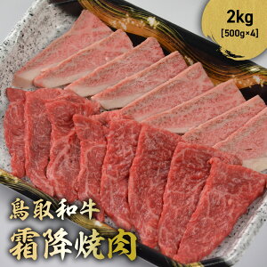 yӂ邳Ɣ[Łza ~ē 300g~2kg(500g×4) Y uh  ~ Ă ē a јa  [X o BBQ Ⓚ 挧 qgs