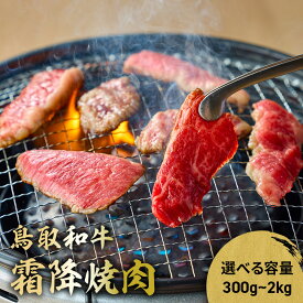 【ふるさと納税】鳥取和牛 霜降焼肉 300g~2kg(500g×4) 国産 ブランド牛 牛肉 霜降り 焼き肉 焼肉 和牛 黒毛和牛 肉 ロース バラ BBQ 冷凍 鳥取県 倉吉市