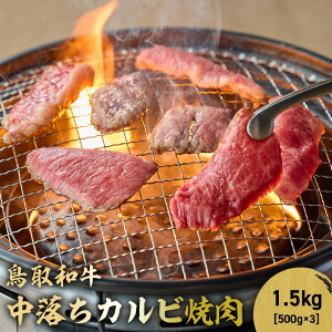 yӂ邳Ɣ[Łza Jrē 300g`2kg(500g×4) uh  Ă ē a јa  Jr o BBQ Ⓚ 挧 qgs