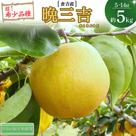 【ふるさと納税】 【希少梨】 晩三吉 5kg（5〜12玉） 倉吉産 福井果樹園 おくさんきち 梨 なし ナシ ブランド梨 冬梨 希少品種 果物 フルーツ 和梨 数量限定