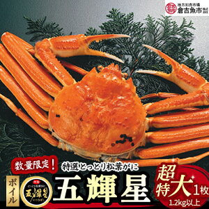 yӂ邳Ɣ[Łzyqgsz ܋P {C t i1.2kgȏj ʌi tI 킢 Jj  I 挧