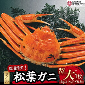 yӂ邳Ɣ[Łzyqgsz{CtɁij{CO 1kgȏ {C tKj YCKj Jj ①    ʌ Jj 킢 Y qgs