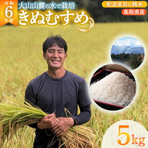 yӂ邳Ɣ[Łzyߘa6NYāz ʂނ (5kg) ߘa6NY     R  ʂނ uh